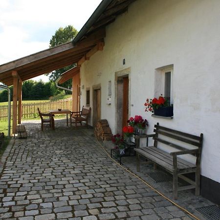 Ferienhaus Winter Blaibach Esterno foto
