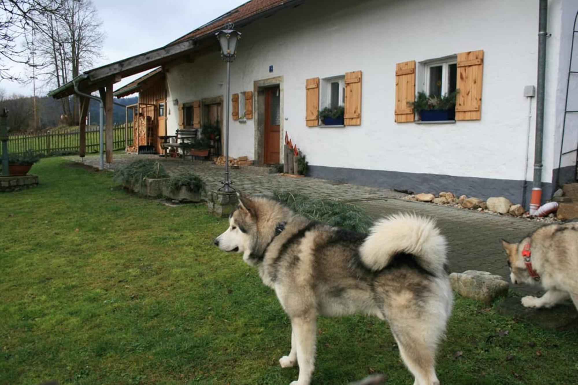 Ferienhaus Winter Blaibach Esterno foto