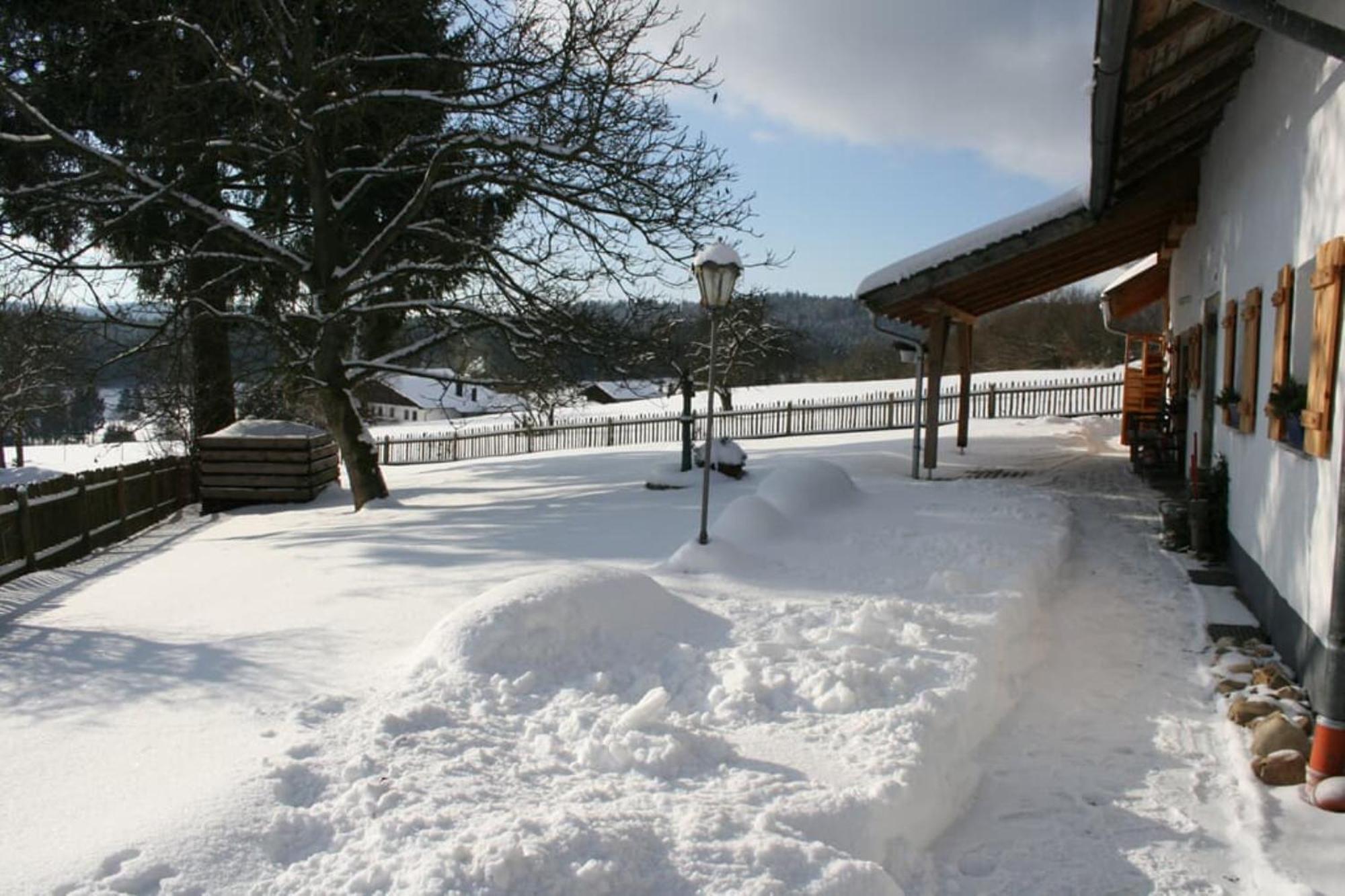 Ferienhaus Winter Blaibach Esterno foto